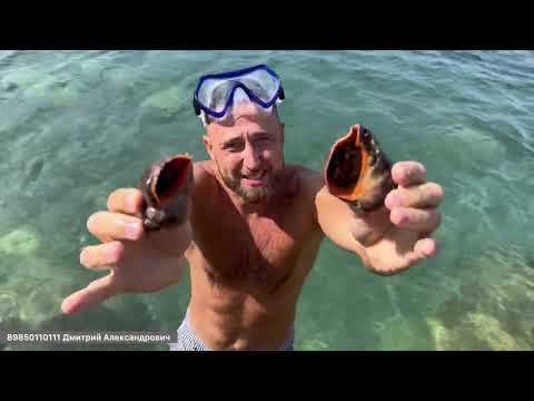 Видео: Вся правда о круизе  Astoria Grande  по Чёрному морю из Сочи в Турцию !!!