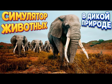 Видео: СИМУЛЯТОР ЖИВОТНЫХ В ДИКОЙ ПРИРОДЕ ( Animalia Survival )