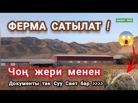 Видео: Срочно 🔥Арзан 😱Мал🐄 Ферма Сатылат Тел:0770 547 171 Лейлек Раззаков