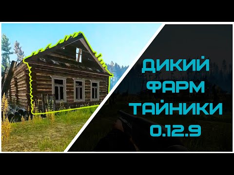 Видео: Фарм за Дикого на локации Берег | Escape from tarkov