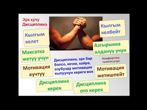 Видео: Мотивация же Дисциплина 1 (Казыгуубу же Тартипке салуубу?)
