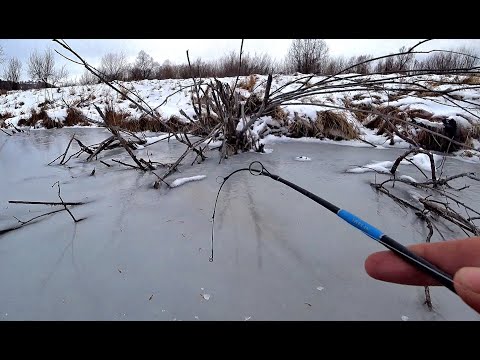 Видео: ОПУСТИЛ БАЛАНСИР В РУЧЬЕ ПОД КОРЯГУ....Первый лед 2023 , жор окуня на балансир! Рыбалка на Алтае.