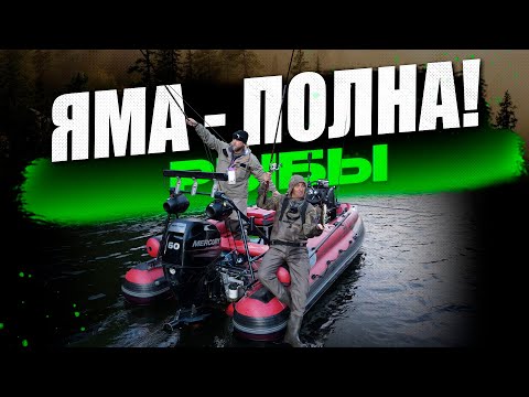 Видео: Нашли Яму, где полно крупного Хариуса, клюет как из бочки!  Река Арму, осень, рыбалка!