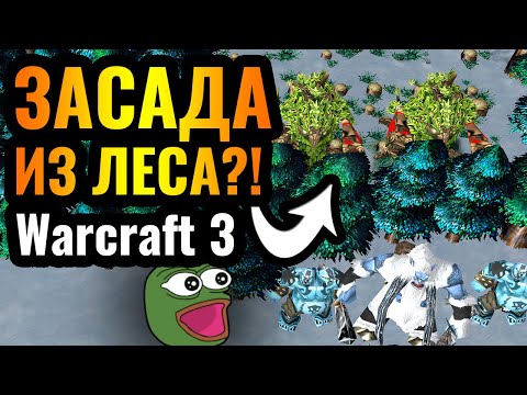 Видео: Cascraft: Как этот ПСИХ до этого додумывается?! Жрица, засада и ШОК в Warcraft 3 Reforged