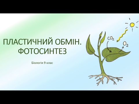 Видео: Біологія 9 клас. Фотосинтез