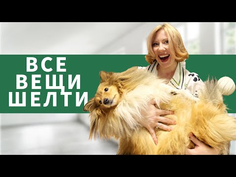 Видео: Разбираем ВСЕ вещи ШЕЛТИ