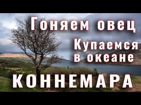 Видео: Два дня в Коннемаре