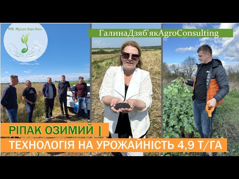 Видео: Добрива ТІМАК АГРО, гібрид ЕКСПАТ, регуляція, азотне живлення, захист