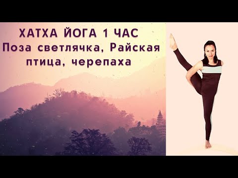 Видео: Хатха йога 1 час | Поза светлячка, Райская птица, черепаха | Глубокая проработка ТБС