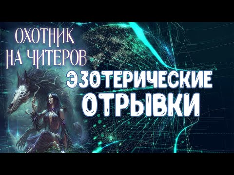 Видео: Дмитрий Нелин: про Фазеров