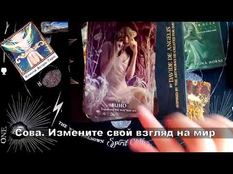 Видео: Распаковка и Первое впечатление: Оракул Твоя Магия / Magick of You Oracle