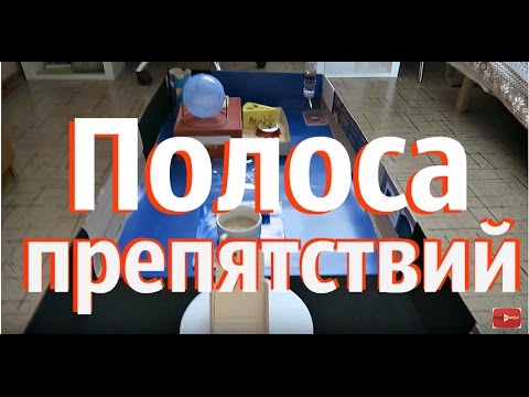 Видео: Полоса препятствий для хомяка/ Самый большой вольер для Джесси