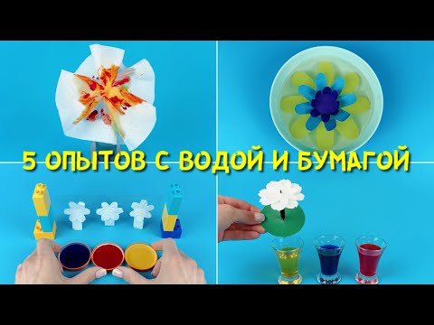 Видео: 5 экспериментов с водой и бумагой, которые объяснят ребенку науку о растениях