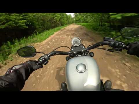 Видео: По лесу на Harley Davidson Sportster 1200