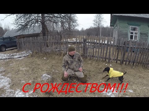 Видео: КУПИЛ ХУТОР в ЛЕСУ на краю БОЛОТА. Часть 9. Жизнь на хуторе в лесу. Фаршированный цыпленок в печке.