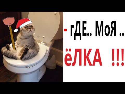Видео: Приколы! ГДЕ МОЯ ЁЛКА! – МЕМЫ! Смешные видео от - Доми шоу!