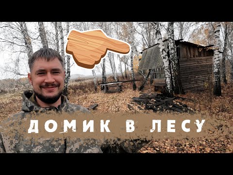 Видео: Домик в Лесу