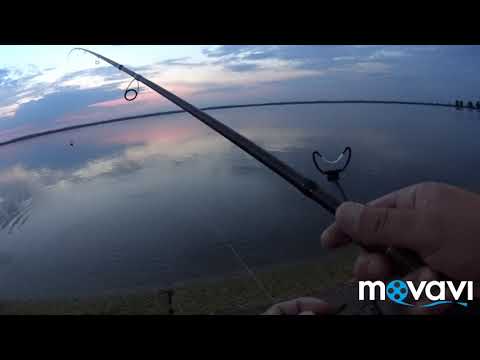 Видео: Киевское водохранилище. Рыбалка на фидер.