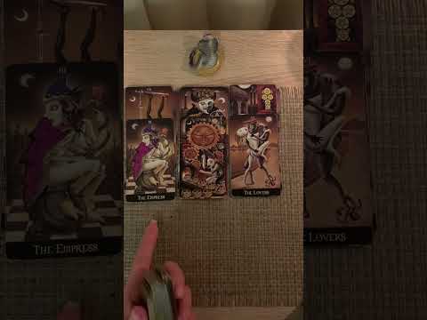 Видео: Кто на вас нападает⚡️цели🎭бумеранги🪃🐍🖤