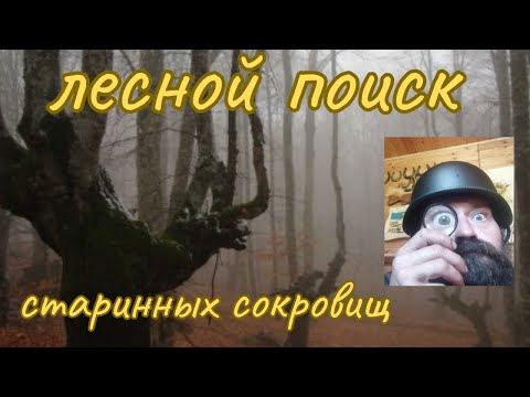 Видео: Лесной выход с Minelab x-terra elite 