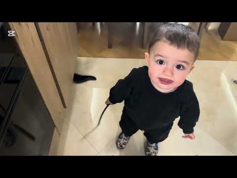 Видео: Бавен есенен ден/Уют/В компания