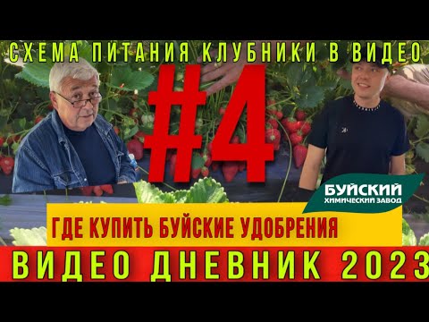 Видео: Буйские удобрения. Где купить  ⁉️⁉️⁉️Видео дневник 2023 #4 СПЕЦВЫПУСК