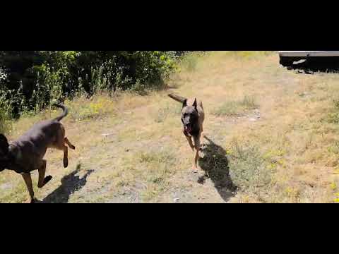 Видео: Монолог за ресурсни тренировки!