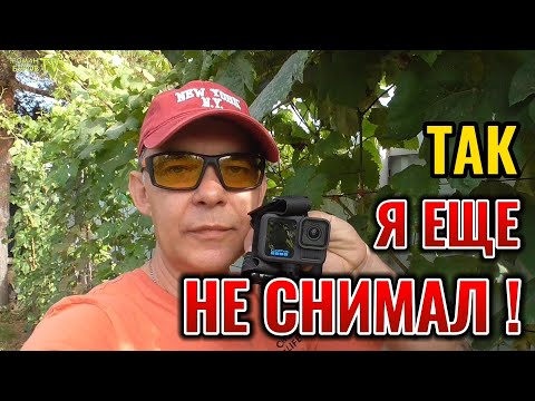 Видео: Только при такой посадке виноград будет хорошо расти и плодоносить! How to plant grapes #garden