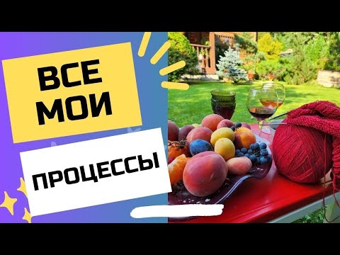 Видео: ВСЕ МОИ ПРОЦЕССЫ