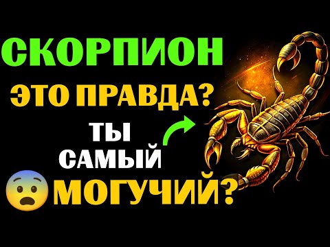 Видео: 🦂25 причин, почему ♏СКОРПИОН - самый МОГУЩЕСТВЕННЫЙ ЗНАК ЗОДИАКА. 😨Вы с этим согласны❓