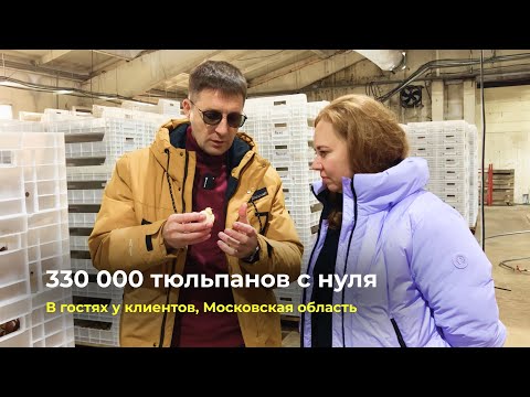 Видео: В гостях у клиентов | Московская область | 330.000 тюльпанов с нуля