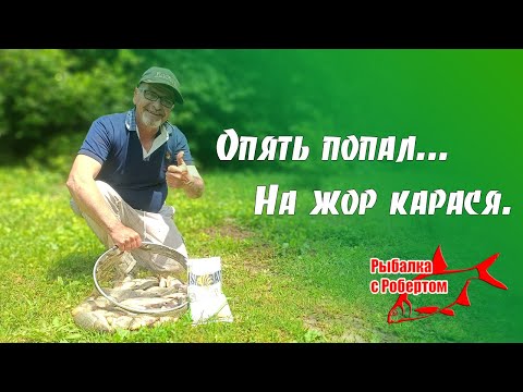 Видео: Попал на жор карася. Карась на фидер в Григорополисской.