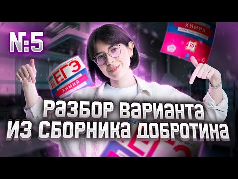 Видео: Разбор Варианта №5 из Сборника Добротина 2023 | Екатерина Строганова