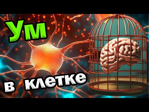 Видео: Ум запертый в клетке / Путь к себе через медитацию