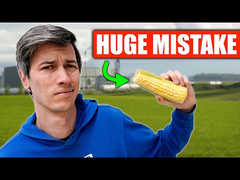 Видео: Америка ошибалась в отношении этанола — исследование показывает