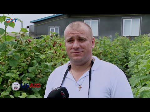 Видео: 25 06 21 Современный фермер малина Чок Майдан