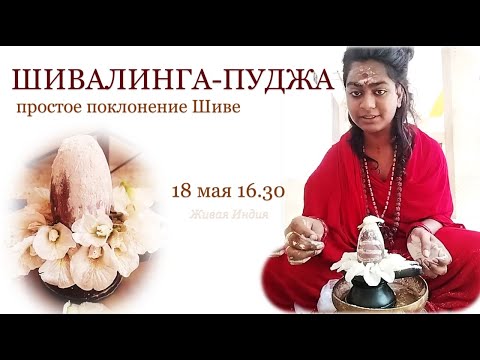 Видео: Простая Шивалинга-пуджа