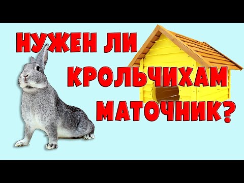 Видео: Нужен ли крольчихам маточник?