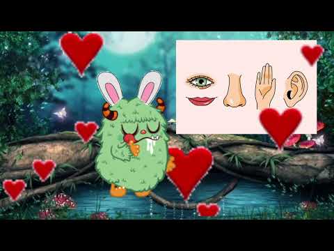 Видео: Заняття з психологом: "Пригоди з органами чуття" для дітей