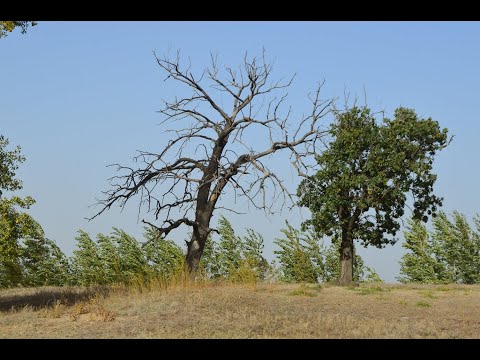 Видео: Hiking Sarpinsky Island  Dust Storm Остров Сарпинский пыльная буря