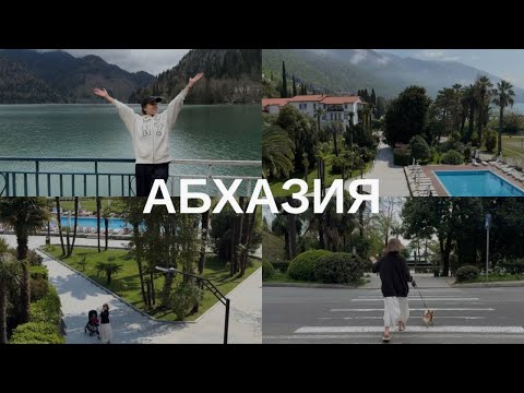 Видео: КАК ПОЕХАТЬ С СОБАКОЙ И РЕБЁНКОМ В АБХАЗИЮ, ДОКУМЕНТЫ, ЛУЧШИЙ ОТЕЛЬ АБААТА