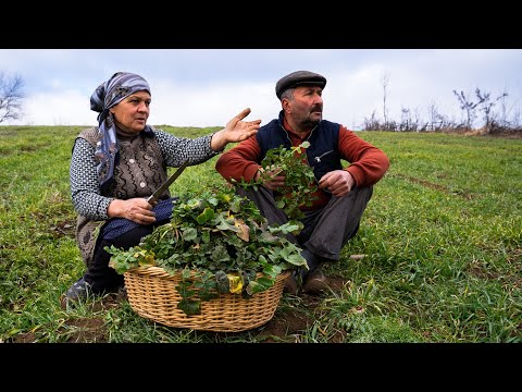 Видео: Пирог из диких съедобных трав