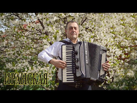 Видео: Мелодия из репертуара Бижана Мортазави