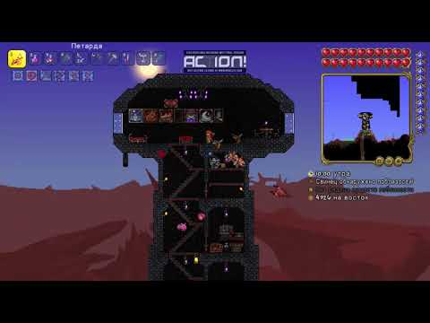 Видео: Terraria прямая трансляция  прохождения за прызивателя