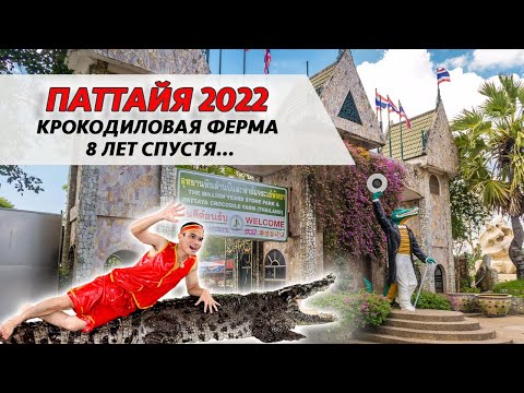 Видео: ШОУ КРОКОДИЛОВ В ПАТТАЙЕ 2022 / РЫБАЛКА НА КРОКОДИЛОВ И КОРМЕЛНИЕ ЖИРАФОВ И СЛОНОВ