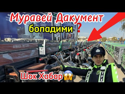 Видео: Муравей Нархлар 50% Арзонлаб Колди !!!!!!