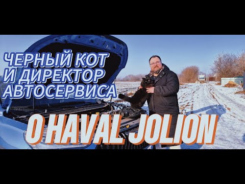 Видео: Директор автосервиса о Haval Jolion. Косяки, болячки и черный кот.
