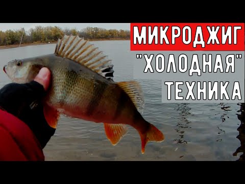 Видео: Микроджиг поздней осенью/особенности и техника ловли