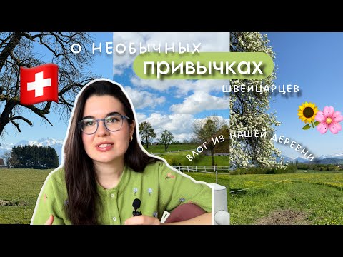 Видео: ПРИВЫЧКИ парня-ШВЕЙЦАРЦА, которые меня удивили. Деревня, где мы живем в Швейцарии🇨🇭⛰
