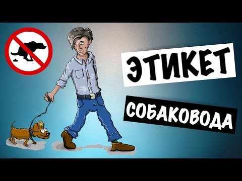 Видео: ПРАВИЛА ХОРОШЕГО ТОНА ДЛЯ СОБАЧНИКОВ | ЭТИКЕТ СОБАКОВОДА